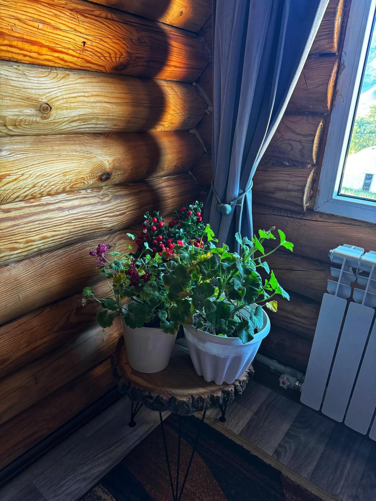 Kolsay Kazakh Village Saty Extérieur photo